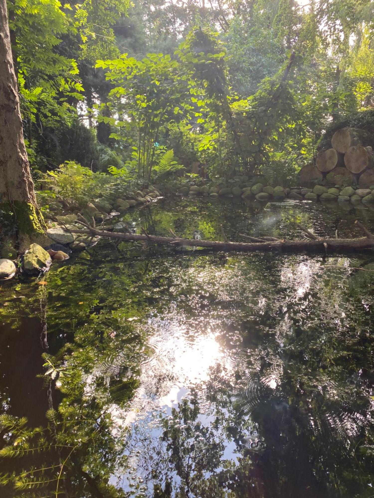 Ferienwohnung Auf Einem Resthof Zentral Gelegen Mit Viel Natur Und Tieren Rendswuhren Extérieur photo